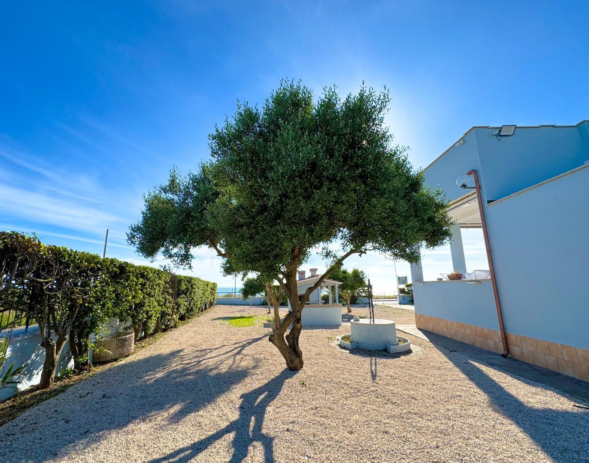 Edo House Anzio - Beachfront - Fronte Mare - Affittacamere Exterior photo